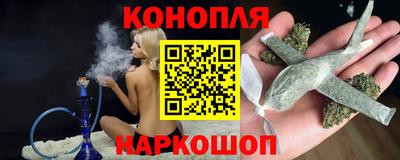 стаф Кунгур