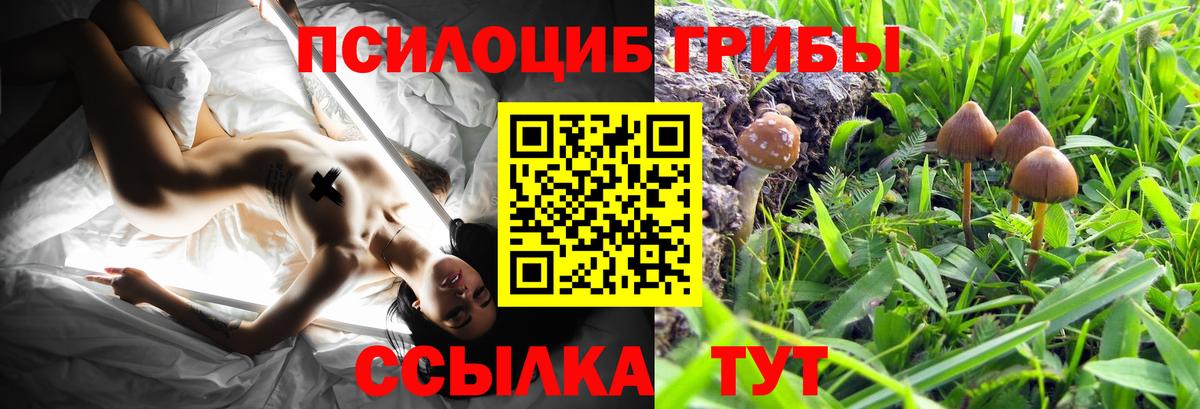 Галлюциногенные грибы мухоморы Изобильный